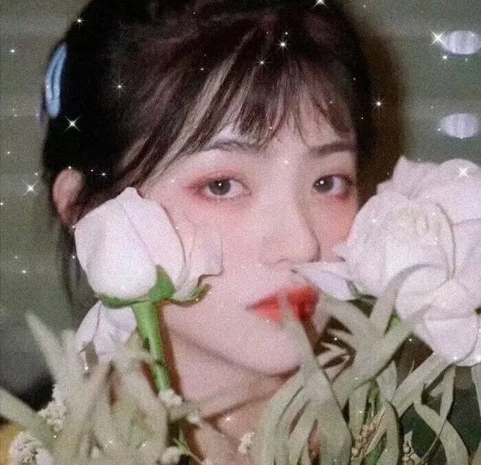 知否知否应是绿肥红瘦番外